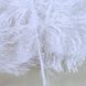 Пряжа Eyelash/Айлеш, білий 01, Knit Me 1055 фото 3