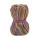 Пряжа Sockwool Prime Multi/Соквул Прайм Мульті, болотяний-кораловий-жовтий-сірий мультіколор DO-061, Performance 3599 фото 2