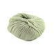 Пряжа Spring Wool/Спрінг Вулл, світло-фісташковий 6, Laines du Nord 2163 фото 2