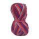 Пряжа Sockwool Prime Multi/Соквул Прайм Мульті, мультіколор 17520, Performance 3603 фото 2
