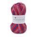 Пряжа Sockwool Prime Multi/Соквул Прайм Мульті, мультіколор 17520, Performance 3603 фото