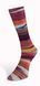 Пряжа Eclectic Sock/Еклектік Сок, мультіколор 04, Laines du Nord 3904 фото 4
