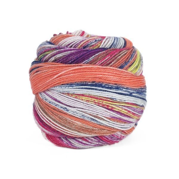 Пряжа Eclectic Sock/Еклектік Сок, мультіколор 04, Laines du Nord 3904 фото