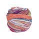 Пряжа Eclectic Sock/Еклектік Сок, мультіколор 04, Laines du Nord 3904 фото 2