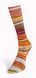 Пряжа Eclectic Sock/Еклектік Сок, мультіколор 05, Laines du Nord 3905 фото 4