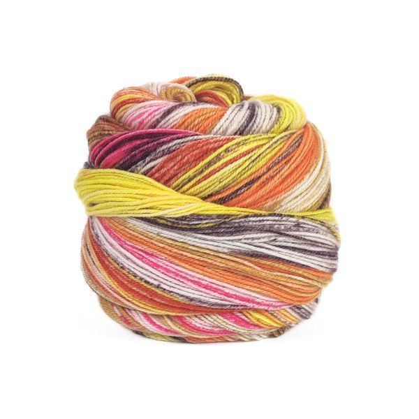 Пряжа Eclectic Sock/Еклектік Сок, мультіколор 05, Laines du Nord 3905 фото