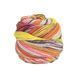 Пряжа Eclectic Sock/Еклектік Сок, мультіколор 05, Laines du Nord 3905 фото 2