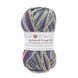 Пряжа Sockwool Prime Multi/Соквул Прайм Мульті, мультіколор 3, Performance 3607 фото