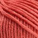 Пряжа Spring Wool/Спрінг Вулл, лососевий 14, Laines du Nord 2171 фото 3