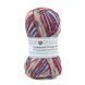 Пряжа Sockwool Prime Multi/Соквул Прайм Мульті, мультіколор 19, Performance 3610 фото