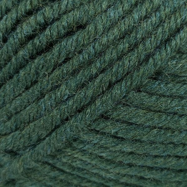 Пряжа Merino XL/Меріно ХЛ, зелений NW010, Lady Yarn 2489 фото