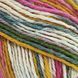 Пряжа Sockwool Prime Multi/Соквул Прайм Мульті, мультіколор 5, Performance 3611 фото 3