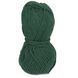 Пряжа Merino XL/Меріно ХЛ, зелений NW010, Lady Yarn 2489 фото 2
