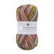 Пряжа Sockwool Prime Multi/Соквул Прайм Мульті, мультіколор 1-1, Performance 3612 фото