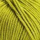 Пряжа Spring Wool/Спрінг Вулл, салатовий 19, Laines du Nord 2176 фото 3