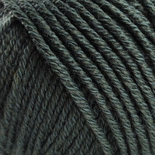 Пряжа Spring Wool/Спрінг Вулл, темно-зелений 22, Laines du Nord 2178 фото