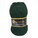 Пряжа Super Wool/Супер Вул, темно-зелений NW010, Lady Yarn 2434 фото
